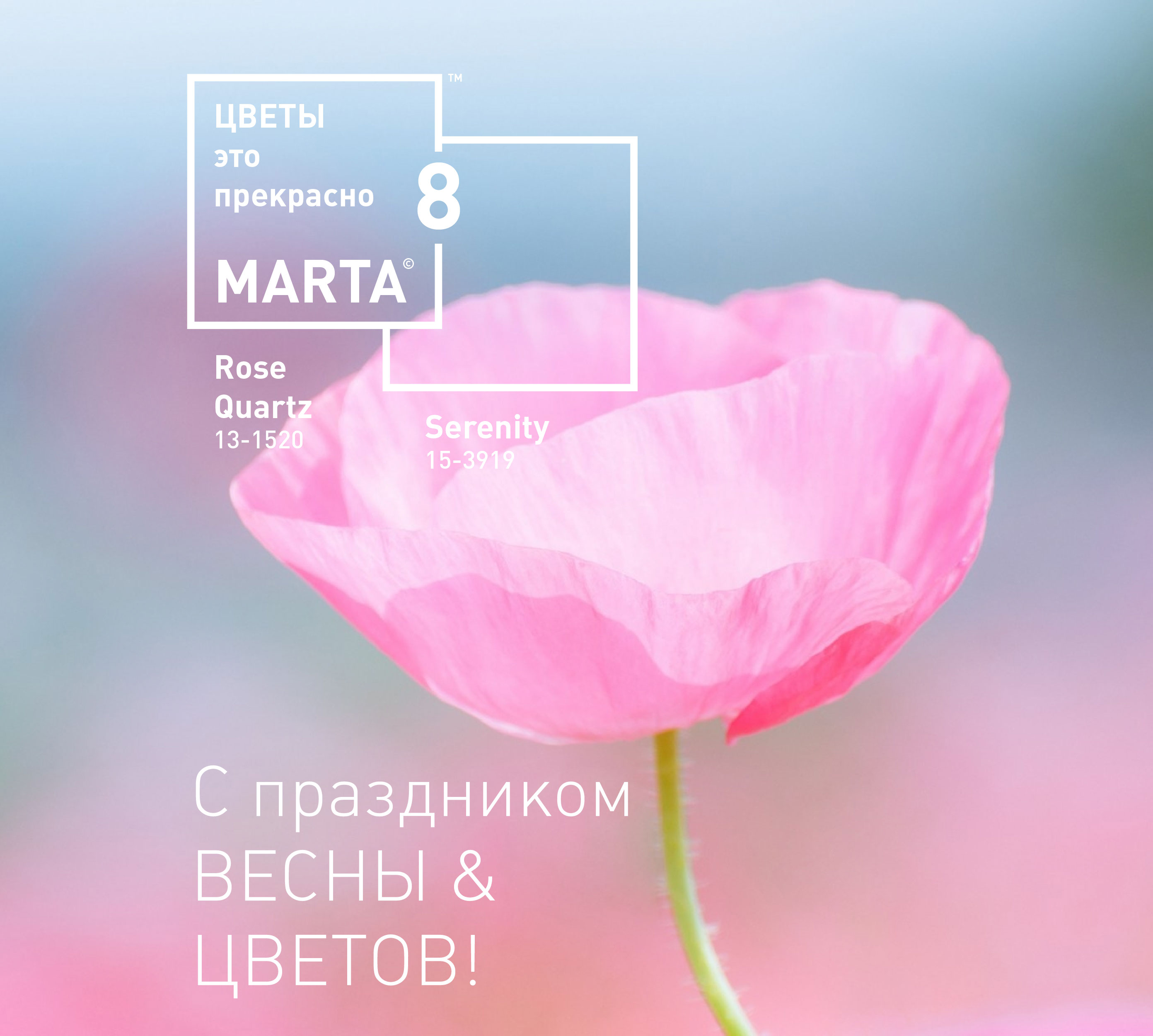 Oboi_Foto_Makro_38_71-02